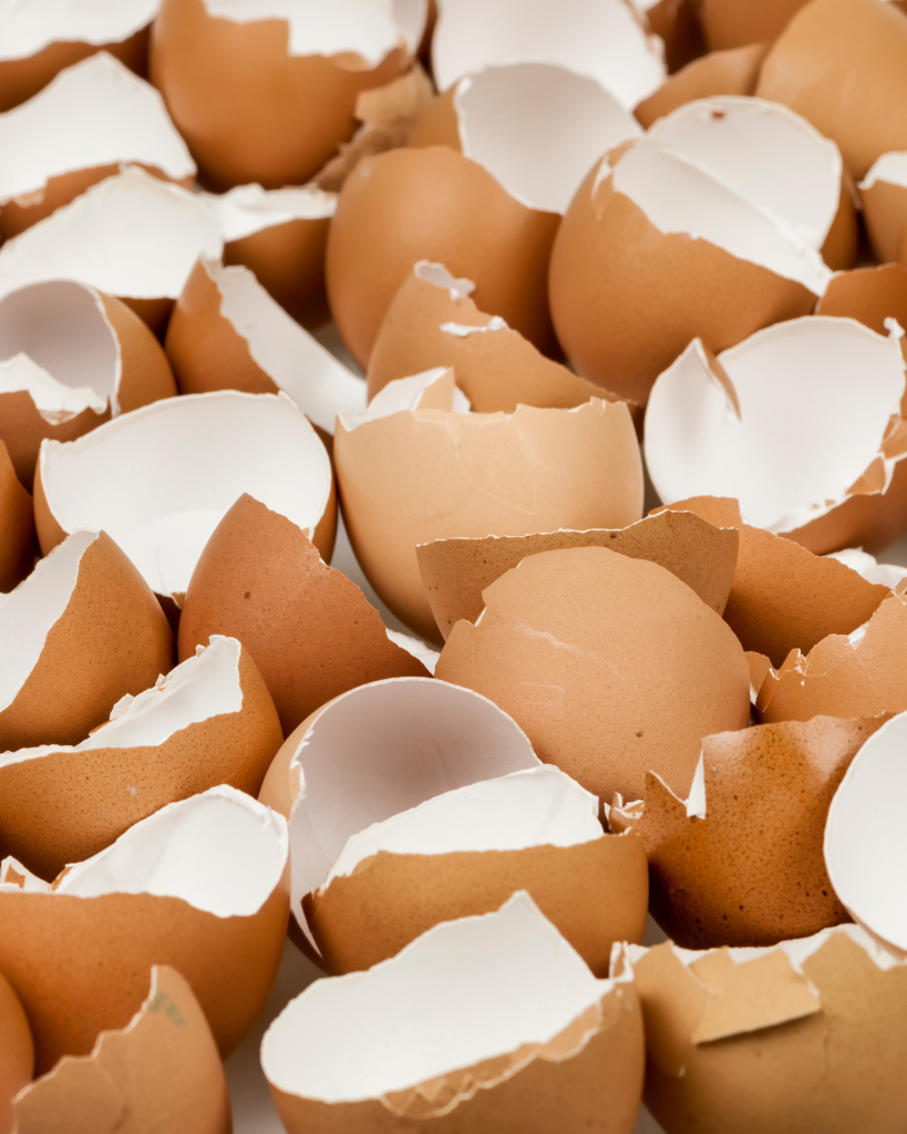 Cáscara de huevo